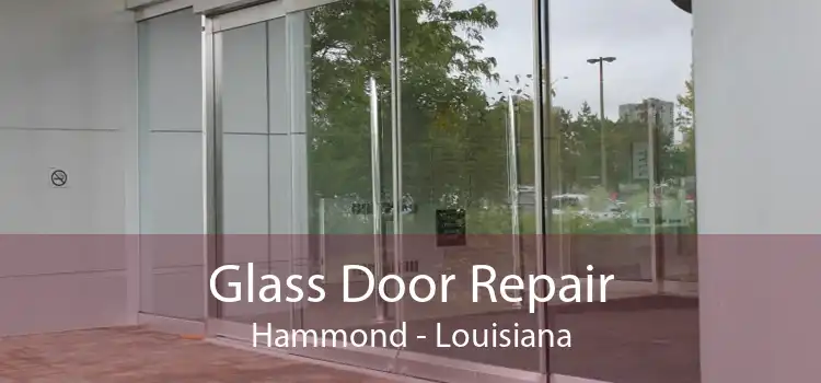 Glass Door Repair Hammond - Louisiana