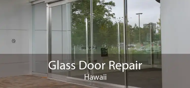 Glass Door Repair Hawaii