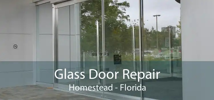 Glass Door Repair Homestead - Florida