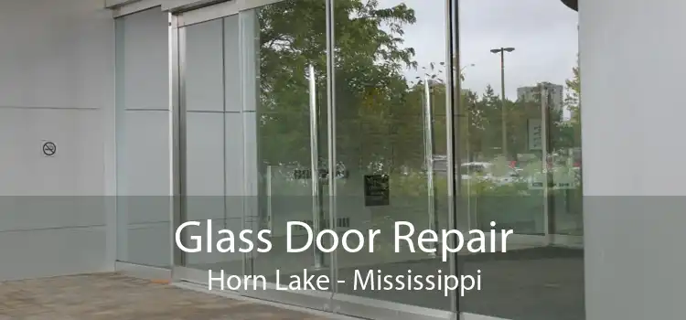 Glass Door Repair Horn Lake - Mississippi