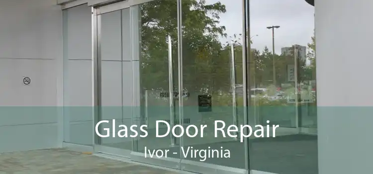 Glass Door Repair Ivor - Virginia