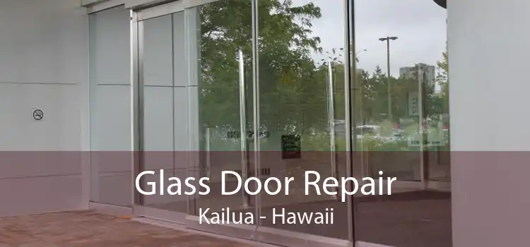 Glass Door Repair Kailua - Hawaii