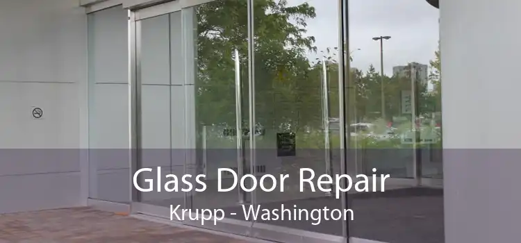 Glass Door Repair Krupp - Washington