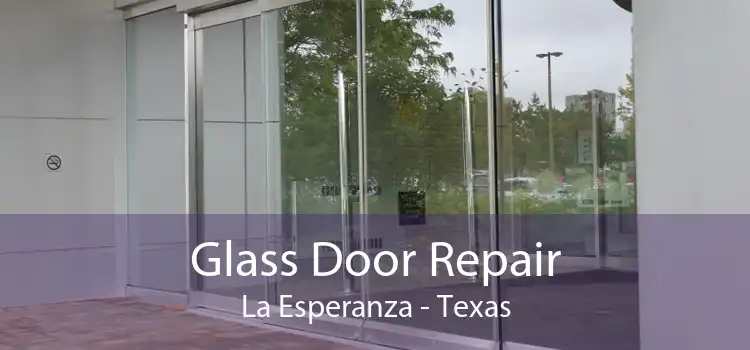 Glass Door Repair La Esperanza - Texas