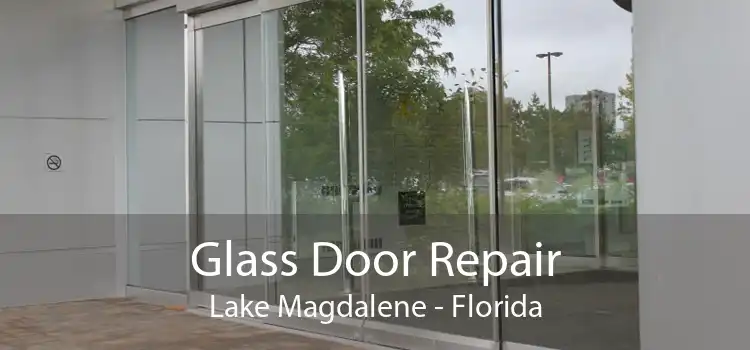 Glass Door Repair Lake Magdalene - Florida
