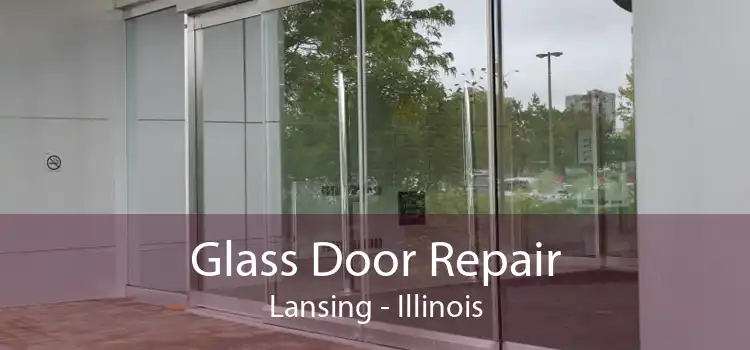 Glass Door Repair Lansing - Illinois