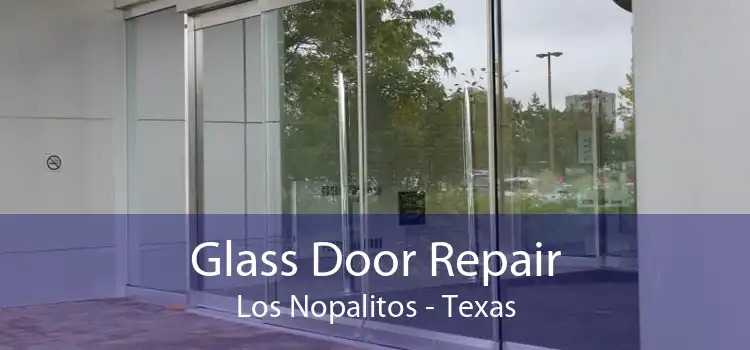 Glass Door Repair Los Nopalitos - Texas