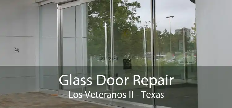 Glass Door Repair Los Veteranos II - Texas