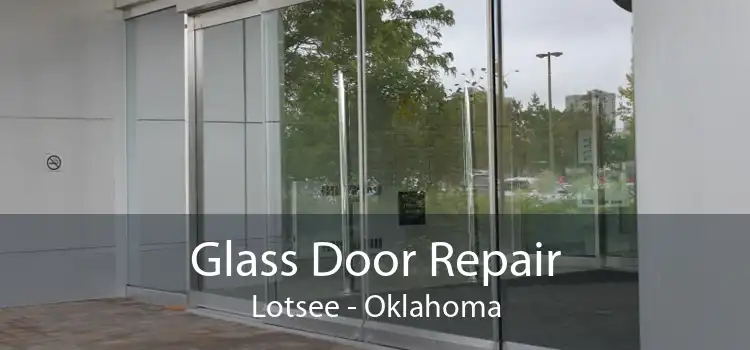 Glass Door Repair Lotsee - Oklahoma