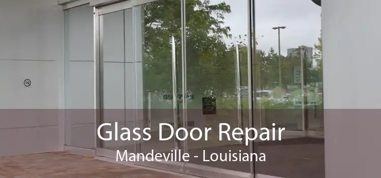 Glass Door Repair Mandeville - Louisiana