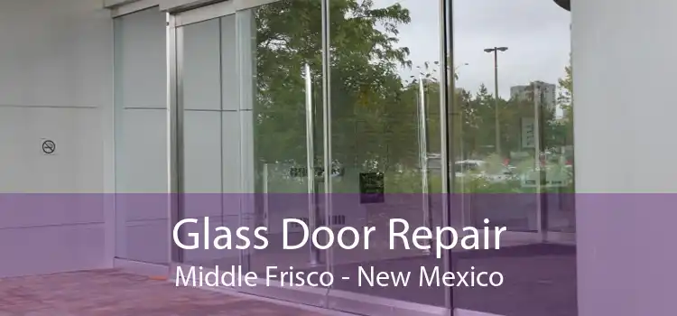 Glass Door Repair Middle Frisco - New Mexico