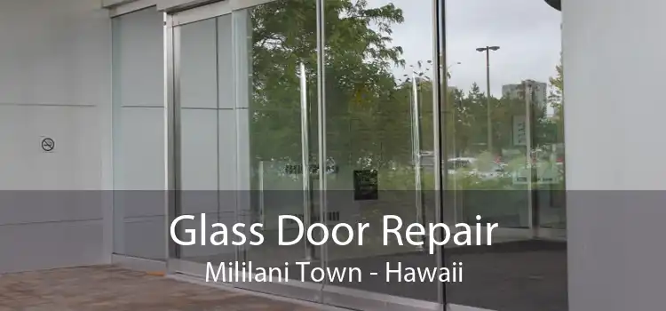 Glass Door Repair Mililani Town - Hawaii