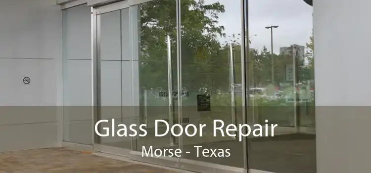 Glass Door Repair Morse - Texas