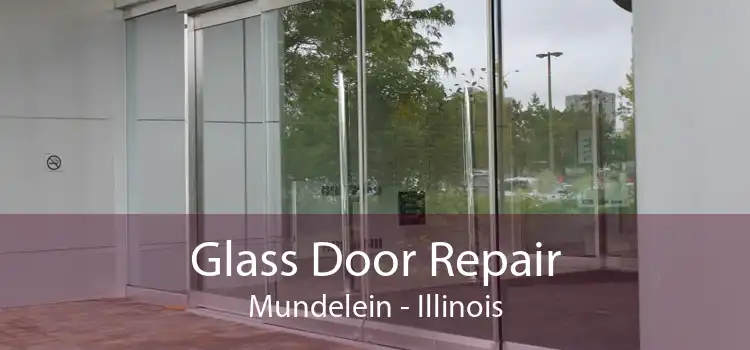 Glass Door Repair Mundelein - Illinois