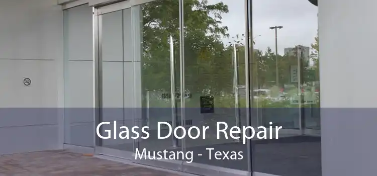 Glass Door Repair Mustang - Texas
