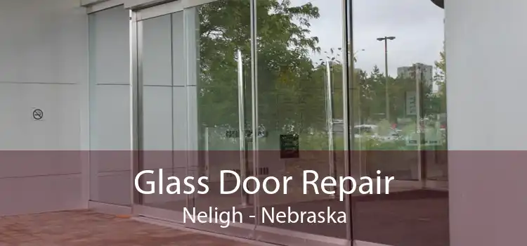 Glass Door Repair Neligh - Nebraska