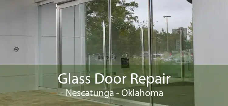 Glass Door Repair Nescatunga - Oklahoma