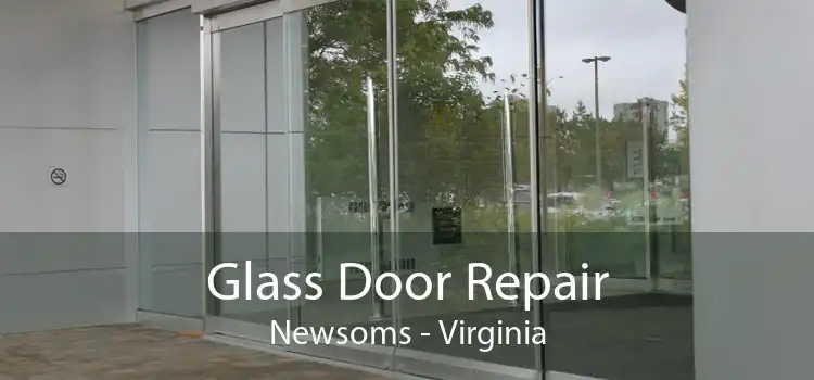 Glass Door Repair Newsoms - Virginia