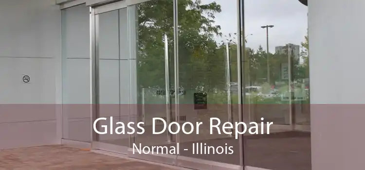 Glass Door Repair Normal - Illinois