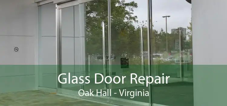 Glass Door Repair Oak Hall - Virginia