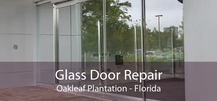 Glass Door Repair Oakleaf Plantation - Florida