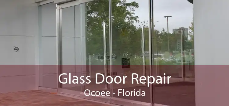 Glass Door Repair Ocoee - Florida