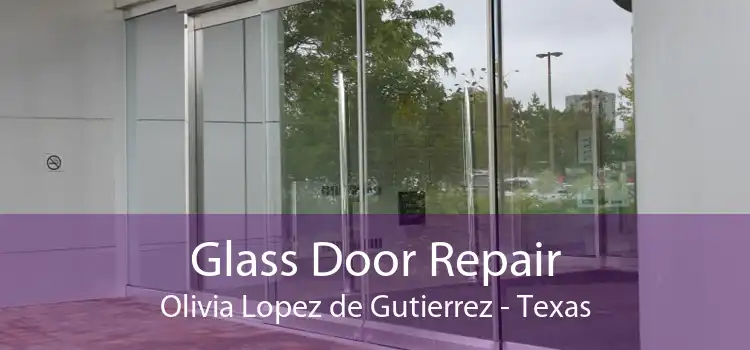 Glass Door Repair Olivia Lopez de Gutierrez - Texas