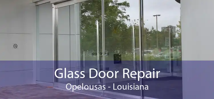 Glass Door Repair Opelousas - Louisiana
