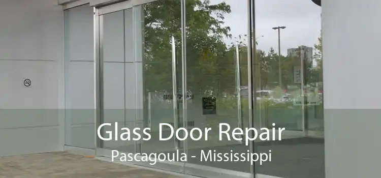 Glass Door Repair Pascagoula - Mississippi