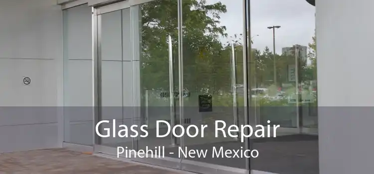 Glass Door Repair Pinehill - New Mexico