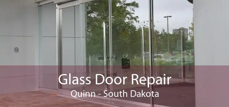 Glass Door Repair Quinn - South Dakota