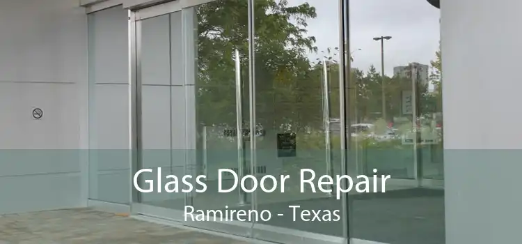 Glass Door Repair Ramireno - Texas