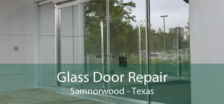 Glass Door Repair Samnorwood - Texas