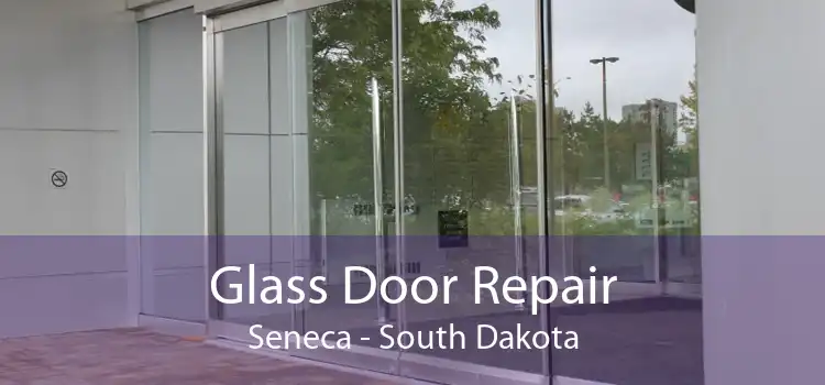 Glass Door Repair Seneca - South Dakota