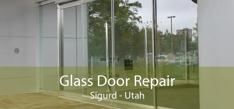 Glass Door Repair Sigurd - Utah