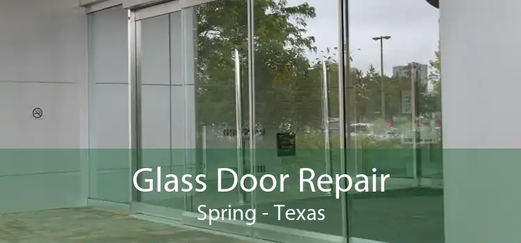 Glass Door Repair Spring - Texas