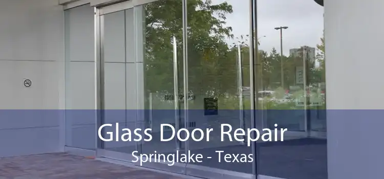 Glass Door Repair Springlake - Texas