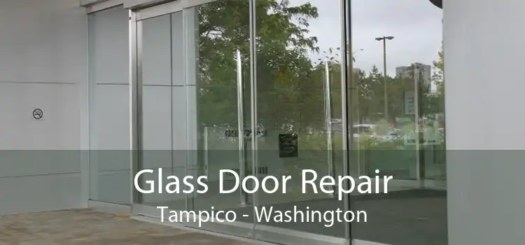 Glass Door Repair Tampico - Washington