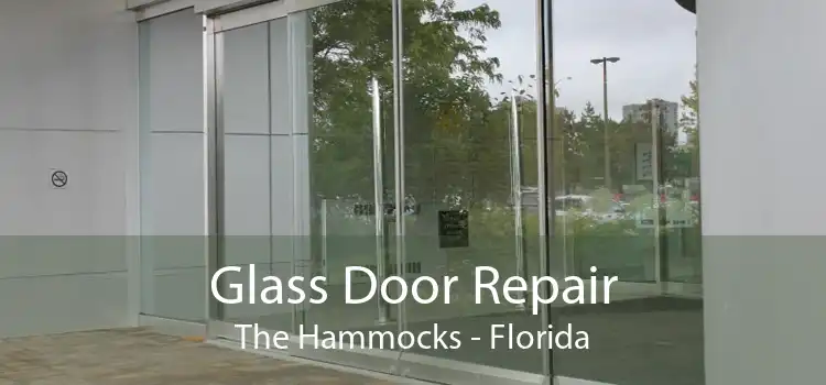 Glass Door Repair The Hammocks - Florida