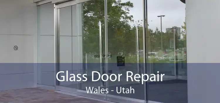 Glass Door Repair Wales - Utah