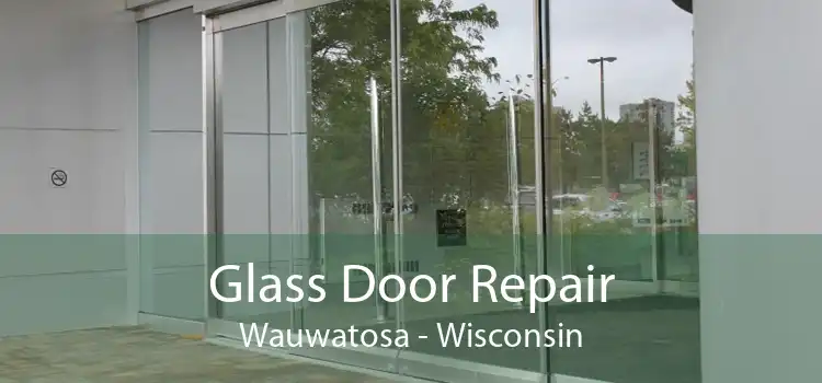 Glass Door Repair Wauwatosa - Wisconsin