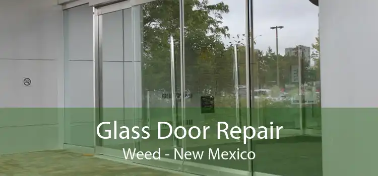 Glass Door Repair Weed - New Mexico