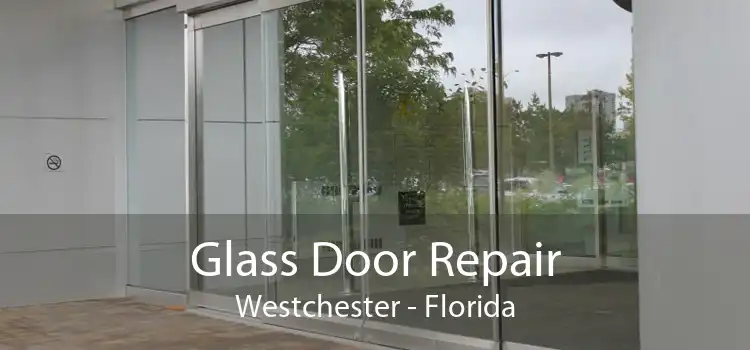 Glass Door Repair Westchester - Florida
