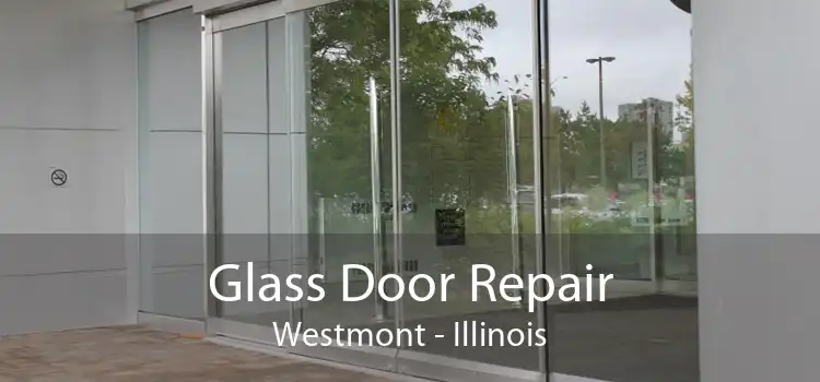 Glass Door Repair Westmont - Illinois