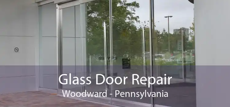 Glass Door Repair Woodward - Pennsylvania