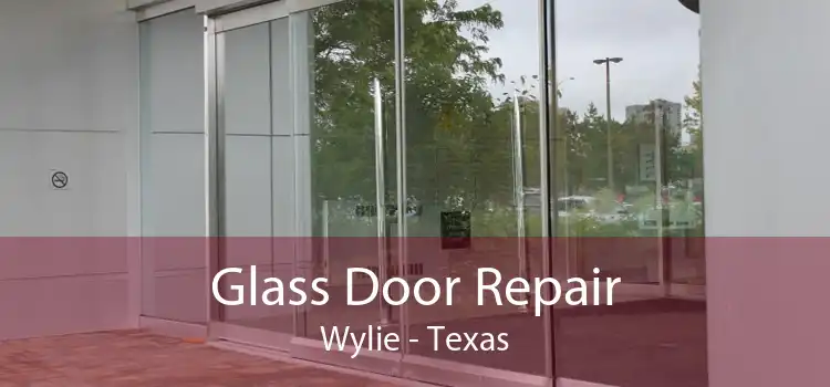 Glass Door Repair Wylie - Texas