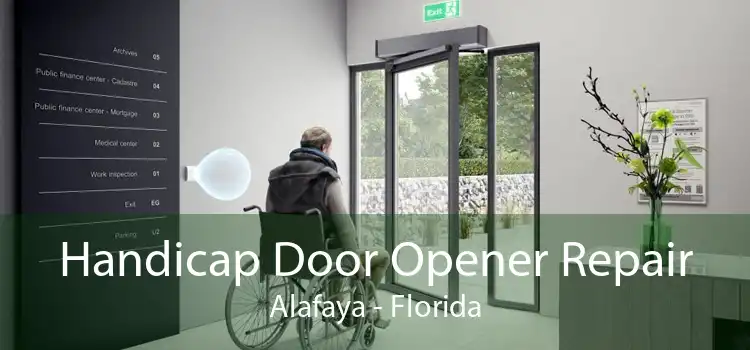 Handicap Door Opener Repair Alafaya - Florida