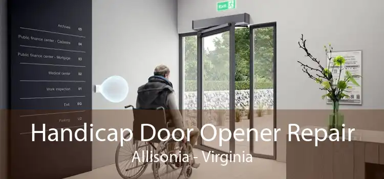 Handicap Door Opener Repair Allisonia - Virginia