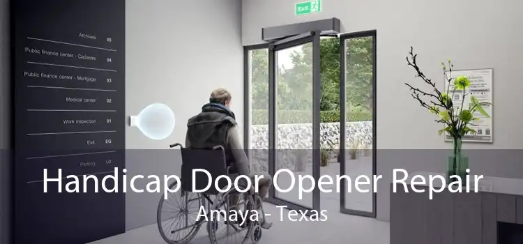 Handicap Door Opener Repair Amaya - Texas