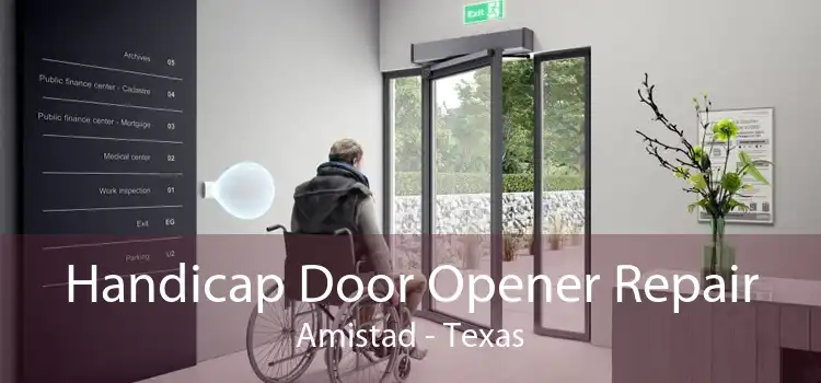 Handicap Door Opener Repair Amistad - Texas